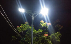 Solar Street Lights3